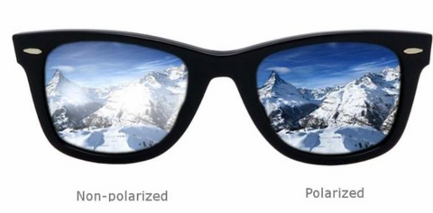 Polarized Lens